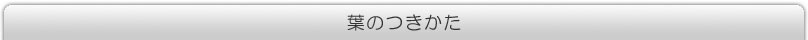 はのつきかた