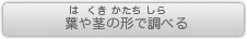 葉や茎の形で調べる