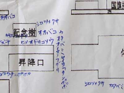 校内野草分布図の例