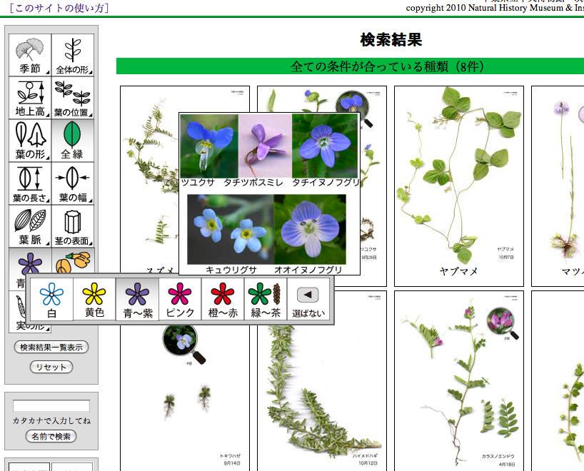 検索画面の画像