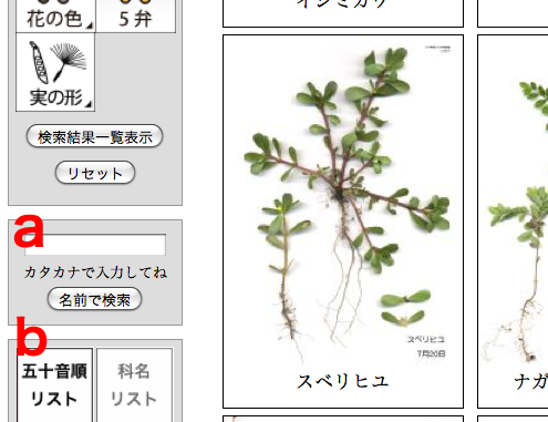 名前検索・五十音順リストボタンの図