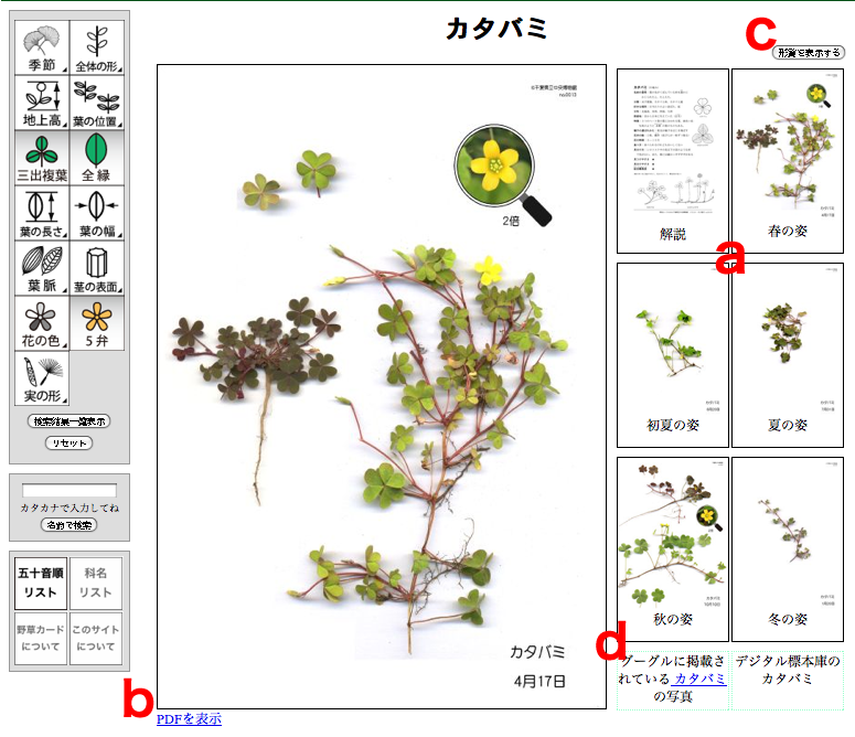 検索結果の個別表示画面の画像